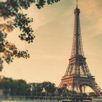 清风体育说头像