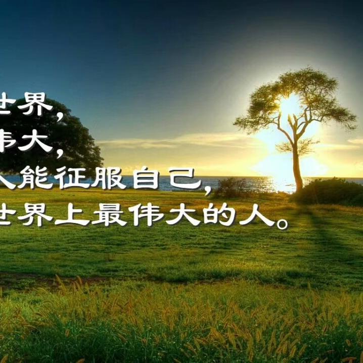 生活的生活是你头像