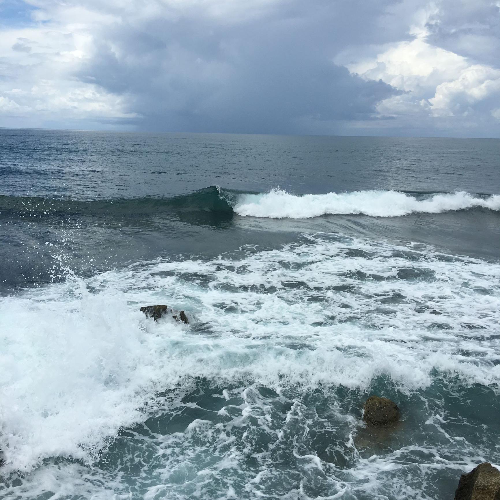 雨果的海头像