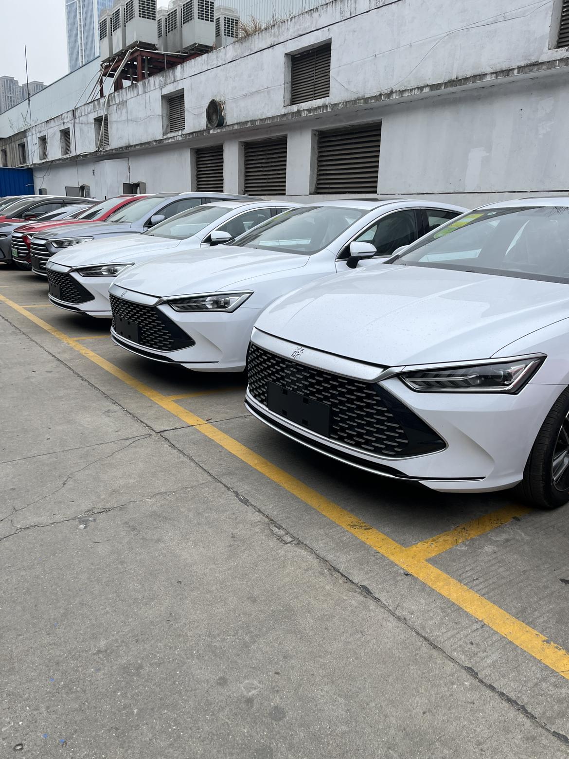 秦plusdmi少见的白色白色有想要