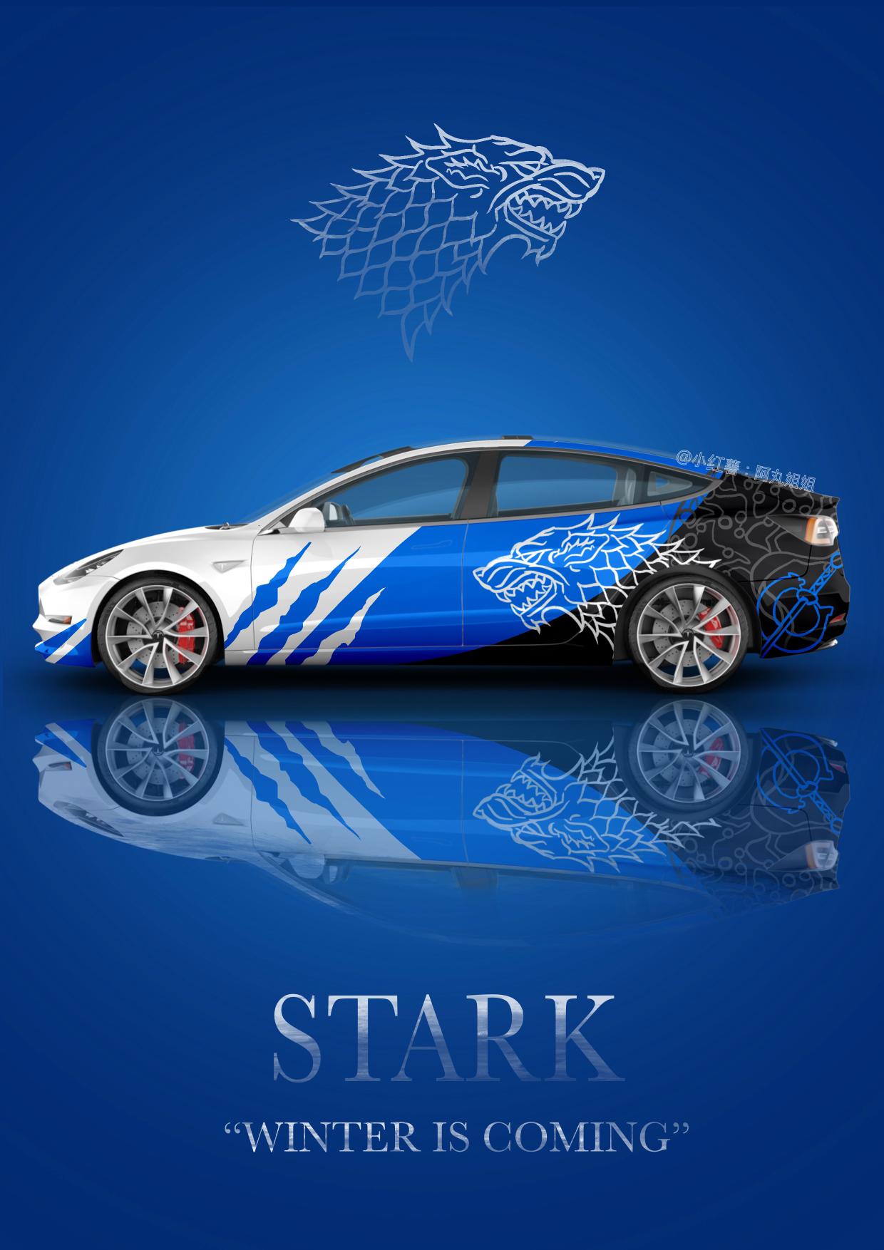 不容错过的特斯拉涂装之《权游_model 3车友圈_懂车帝