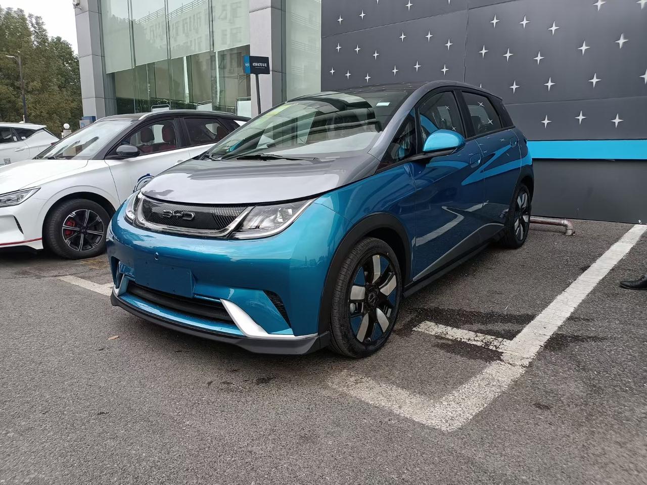 比亚迪海豚骑士版实车到啦