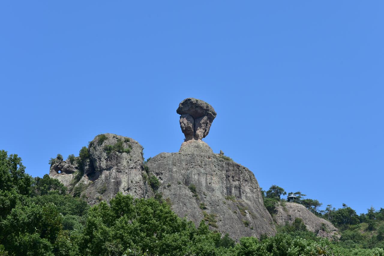 温岭五龙山公园图片图片