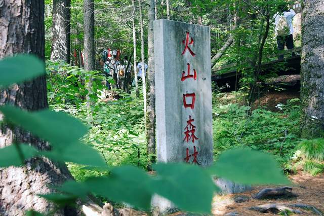 悬崖瀑布玩跳水，火山溶洞吹冷风，这才是东北最适合避暑的地方