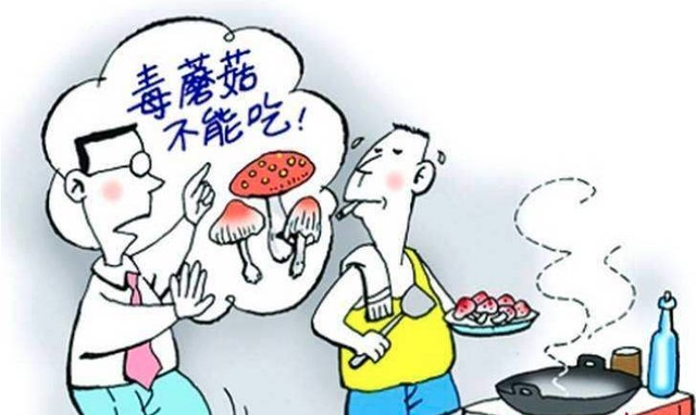 珍爱生命 远离野菇