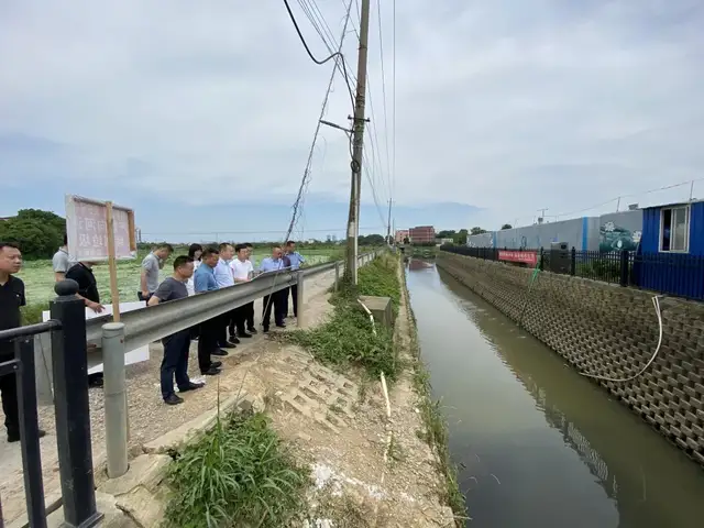副市长向敏调研黑臭水体治理情况