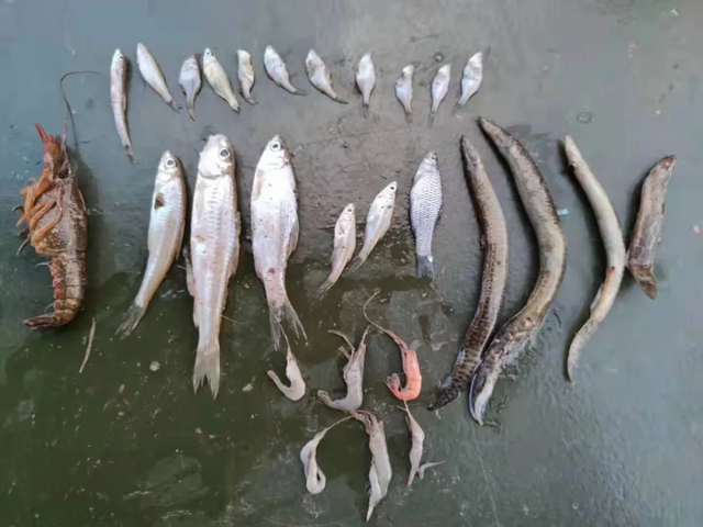 顶风作案！男子湘江“地笼”捕鱼被湘潭县警方刑拘