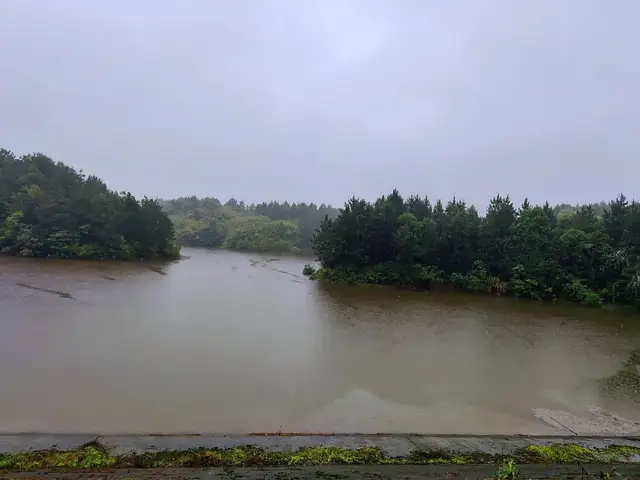 湘潭市领导带队督查花石水库防汛工作