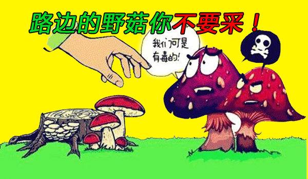 珍爱生命 远离野菇