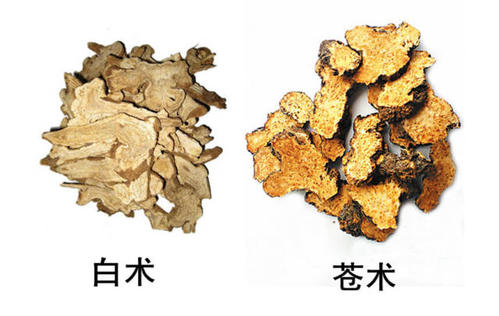 35,焦四仙:焦山楂,焦麦芽,焦神曲,焦槟榔34,全紫苏:紫苏子,紫苏梗