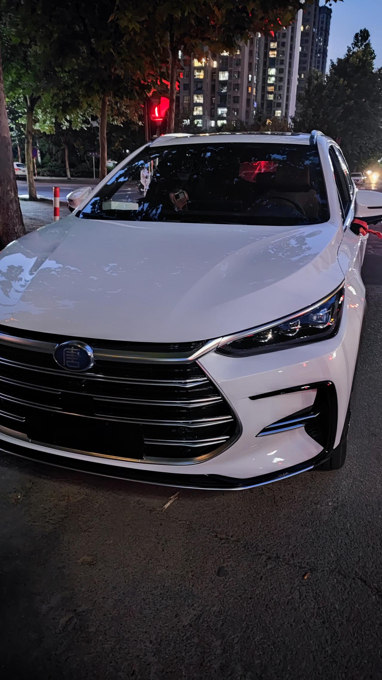 白色尊荣唐dmi提车