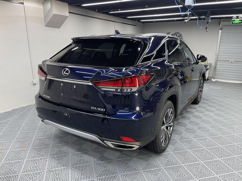 rx300典雅版 请问左右尾灯都有一条痕吗_雷克萨斯rx车友圈_懂车帝