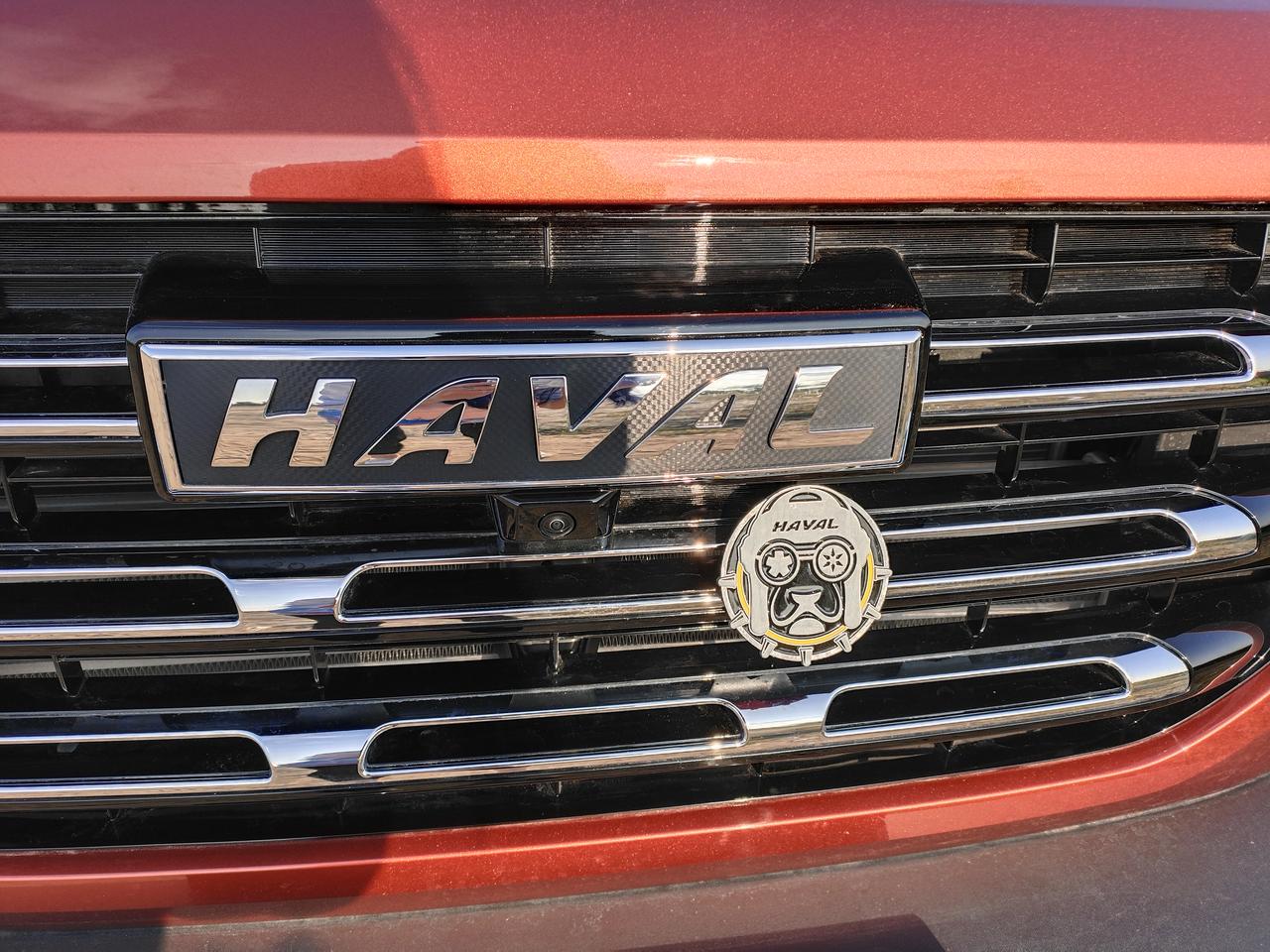 狗头贴中网如何_哈弗大狗车友圈_黑a橙狗_懂车帝