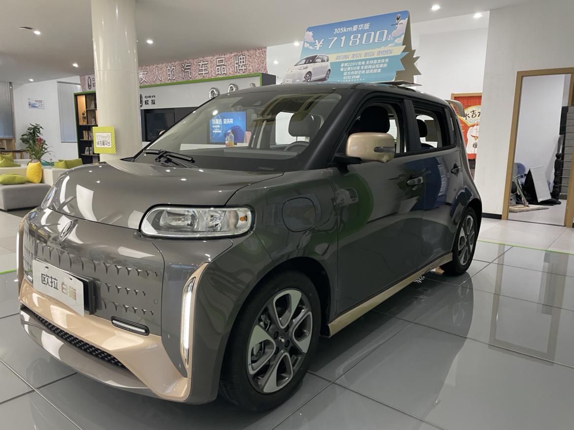 欧拉小野猫到店