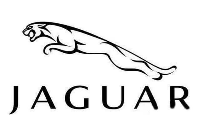 这两天有几位粉丝在问捷豹车