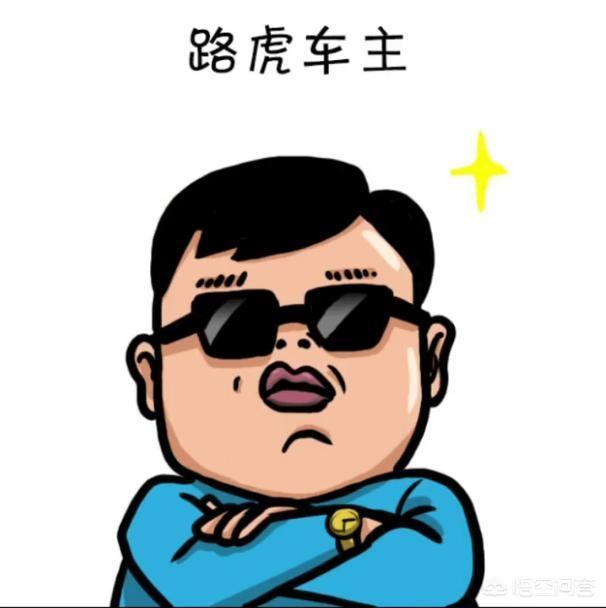 再者真就是社会大哥买的多 打黑不用举报 直接抓开路虎的就行了 哈哈