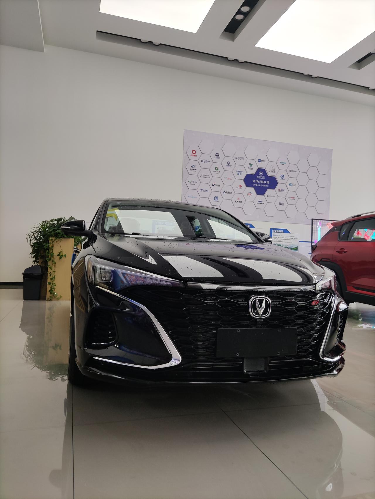 稀缺资源逸动plus尊贵黑