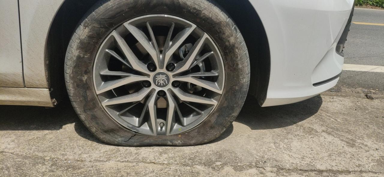 秦puls dm-i应该是首爆胎吧_秦plus dm-i车友圈_懂车帝