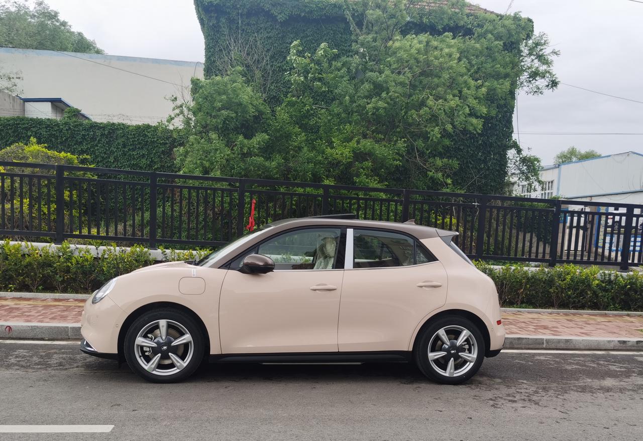 等了85天雅典娜磷酸铁锂提车了