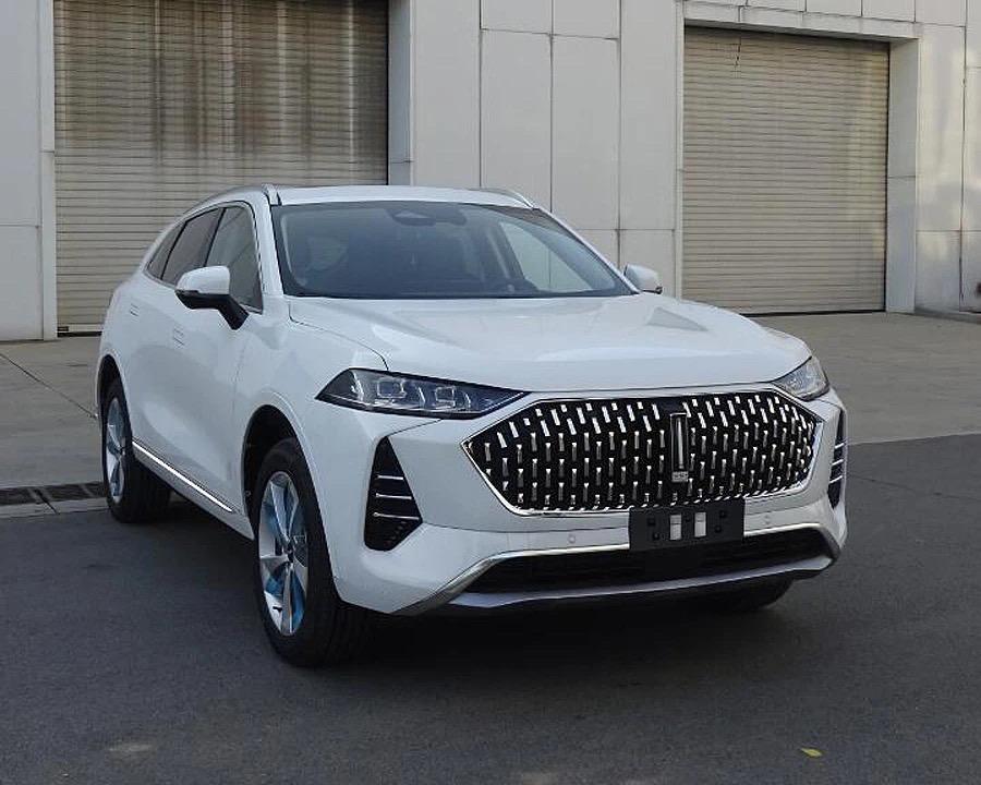 wey摩卡好了!再来一杯卡布奇诺_摩卡车友圈_懂车帝