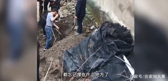 挖出|湖北男子挖出10年陈酿过新年 网友：不知道的以为在挖战壕