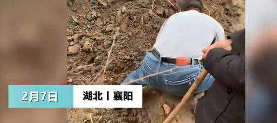 挖出|湖北男子挖出10年陈酿过新年 网友：不知道的以为在挖战壕
