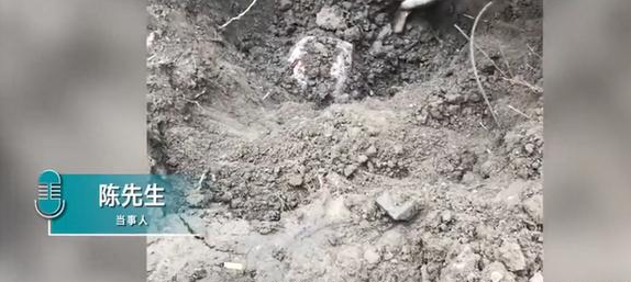 挖出|湖北男子挖出10年陈酿过新年 网友：不知道的以为在挖战壕