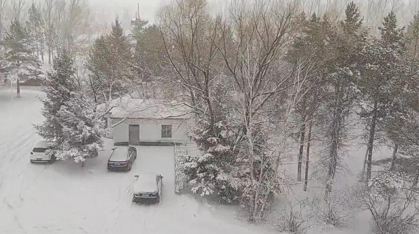 入春失败呼伦贝尔4月大雪纷飞最大雪深24厘米多段高速停运