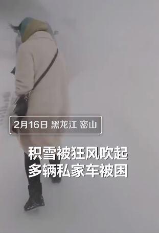 吹出|东北雪暴吹出末日景象 多车被困铲车出动救援