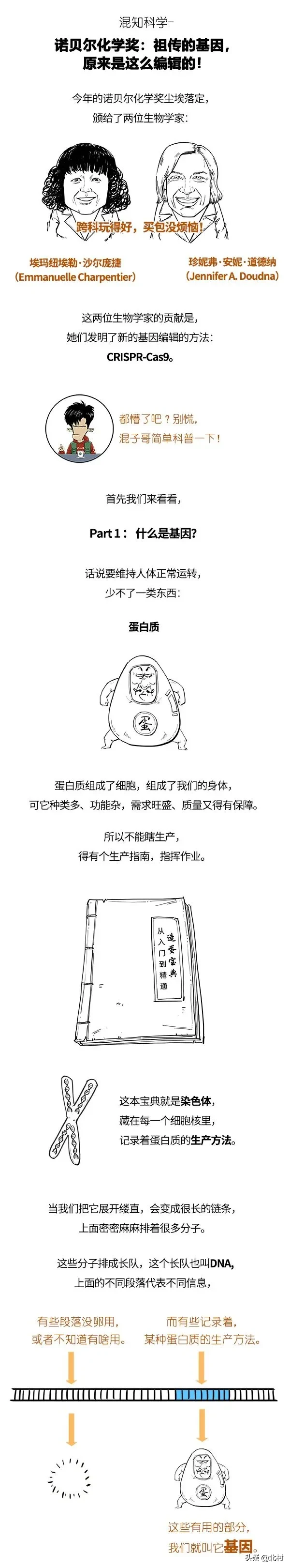 高二猿辅导视频化学百度云资源 猿辅导免费视频高二