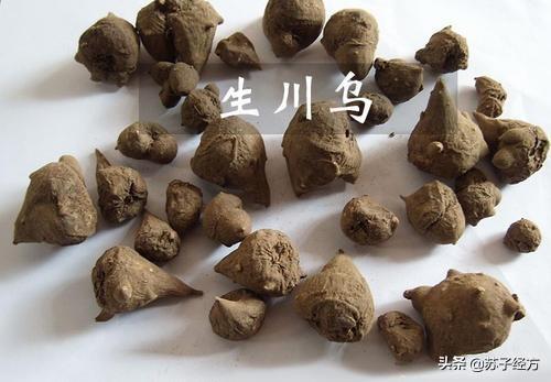 这 28 种毒性中药,千万别乱服用 1,生川乌 2,生草乌 3,生白附子 4