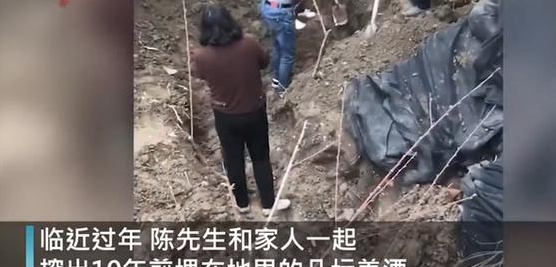 挖出|湖北男子挖出10年陈酿过新年 网友：不知道的以为在挖战壕