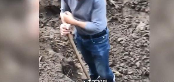 挖出|湖北男子挖出10年陈酿过新年 网友：不知道的以为在挖战壕