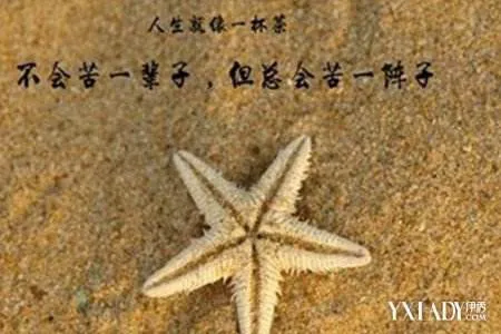 不赚钱的那个人永远没有靠山