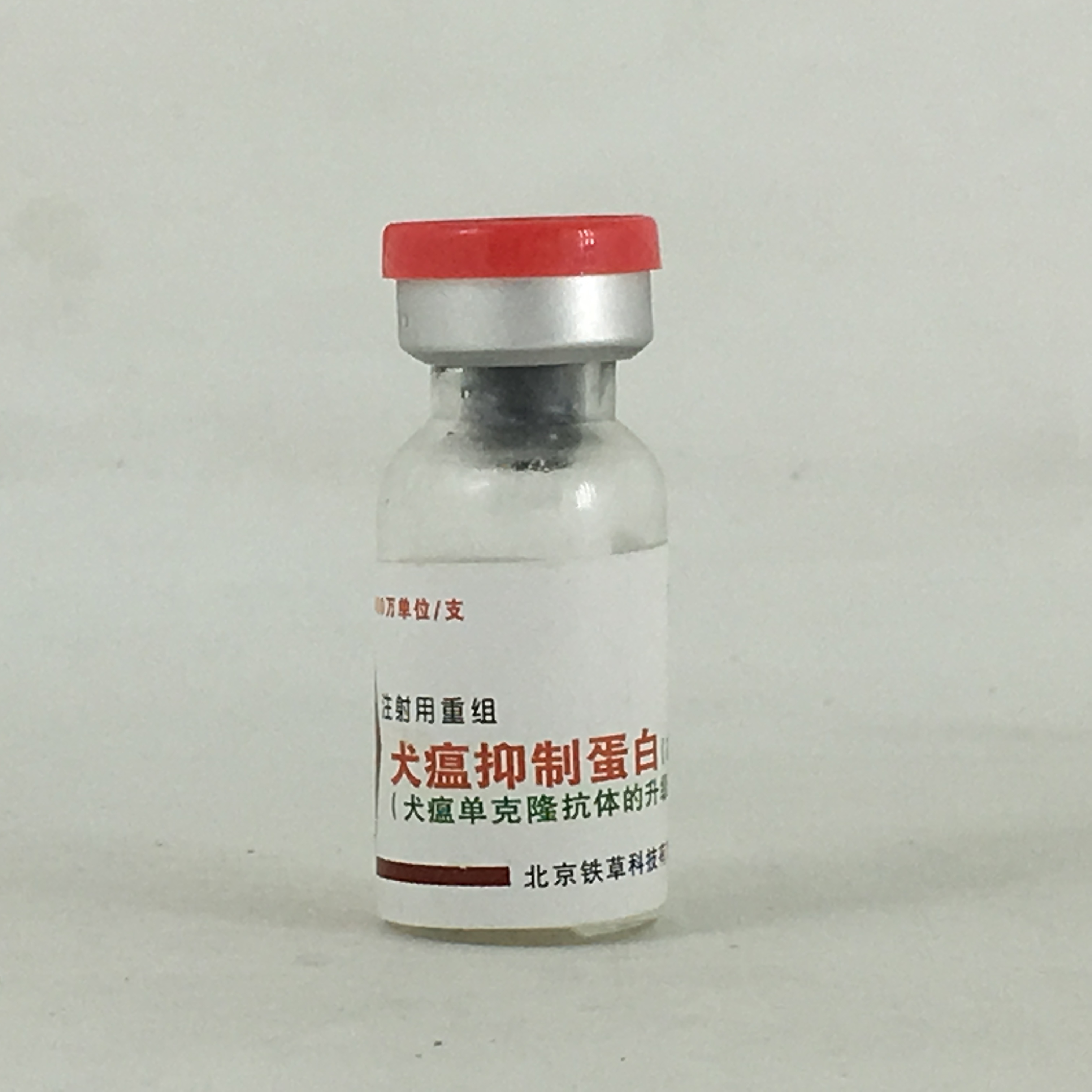 犬瘟热和上呼吸道感染得区别