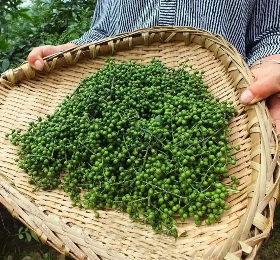 现在的青花椒真的很高产 可是麻度降低的很厉害 我前几天在网上买的青花椒 用它做了个花椒鸡 可没半点花椒味 后来只有回锅加