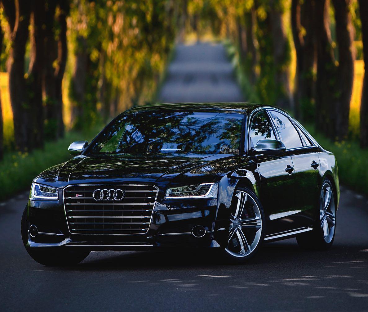 惹不起的西装暴徒奥迪s8