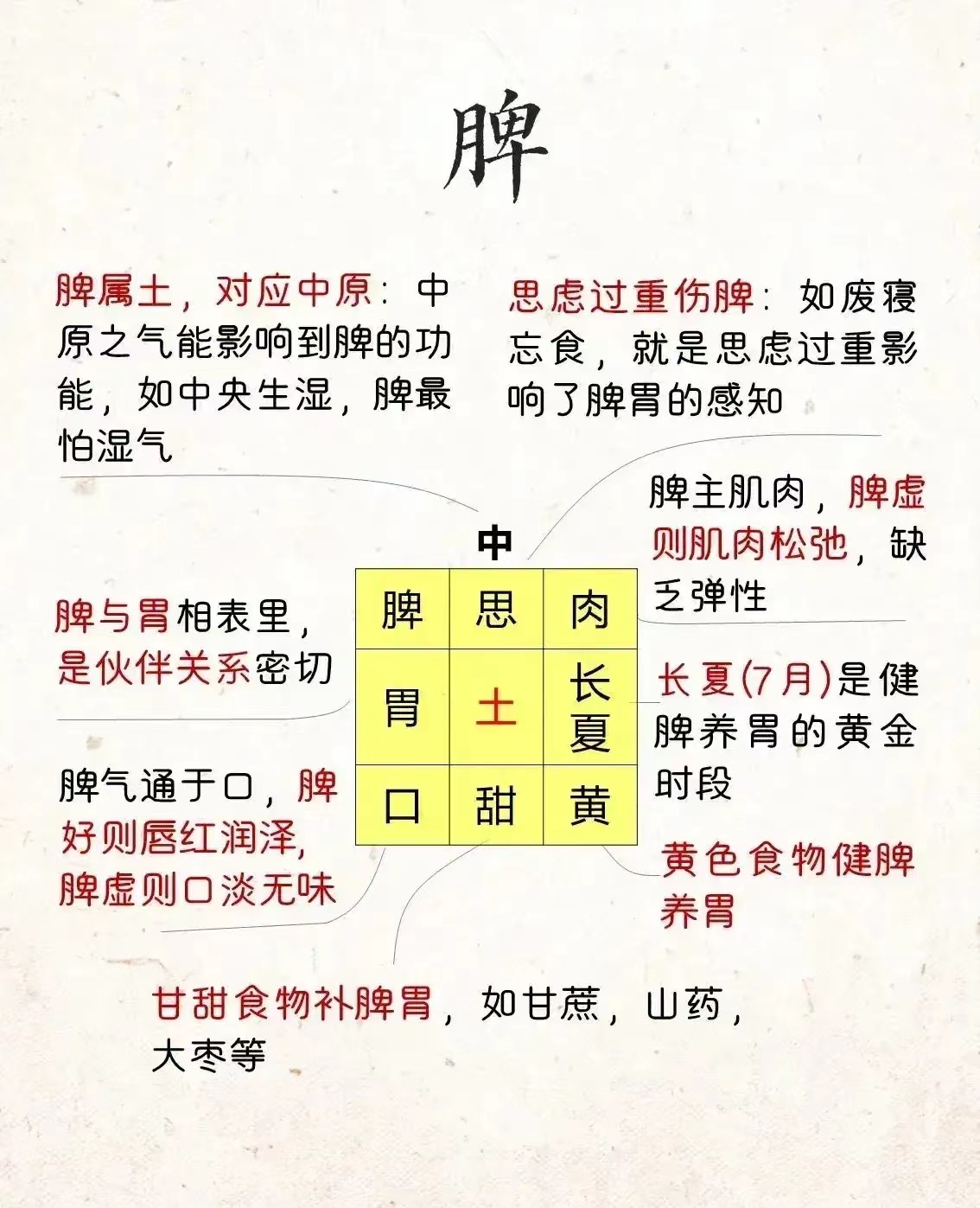 中原五行中医