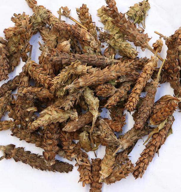 四味中药散结 以下14味中药,是我平时看病常用的散结用药,对结节,肌瘤