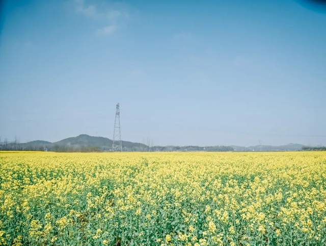 相约520巨石山，共赴春光无限