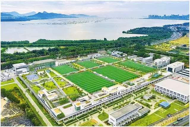 卡塔尔世界杯在即，沉浸式足球公园助力“体育强国”战略超前布局_文旅地产_产业地产_中国商业地产策划网