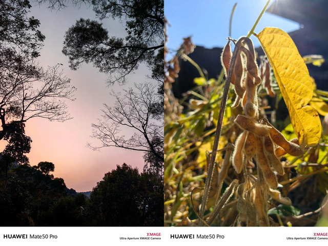 回家过春节，想拍出美美的照片吗？这三款拍照手机值得考虑