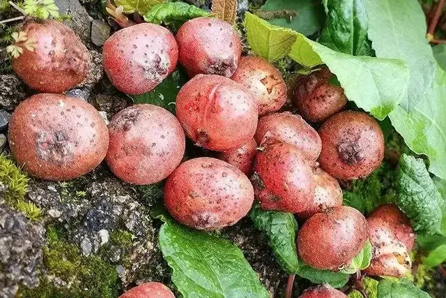 不赚钱发什么朋友圈 没钱适合发的朋友圈