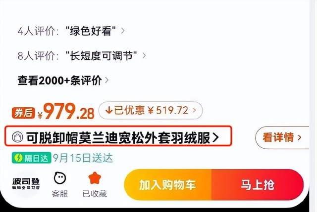 国货波司登双11耍心机被抓现行！网友：太掉价、败路人缘……-锋巢网