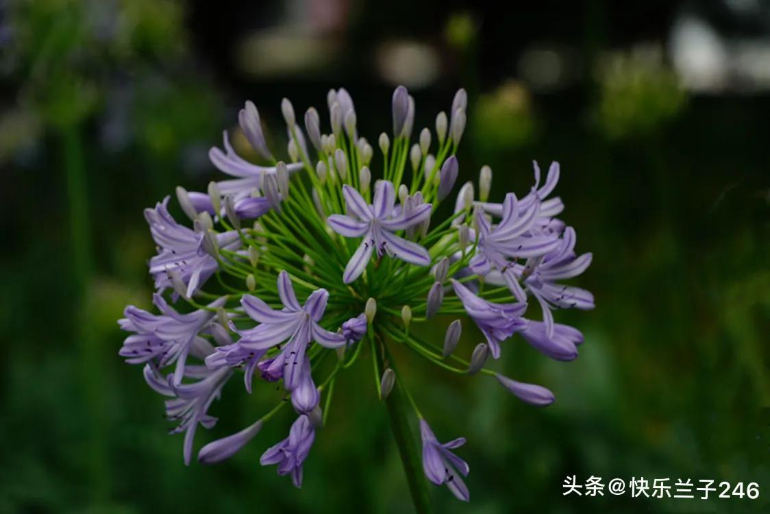 今日头条 今日头条