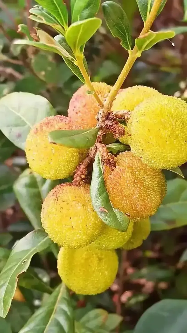 不赚钱发什么朋友圈 没钱适合发的朋友圈