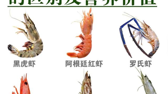 常见虾的区别及做法