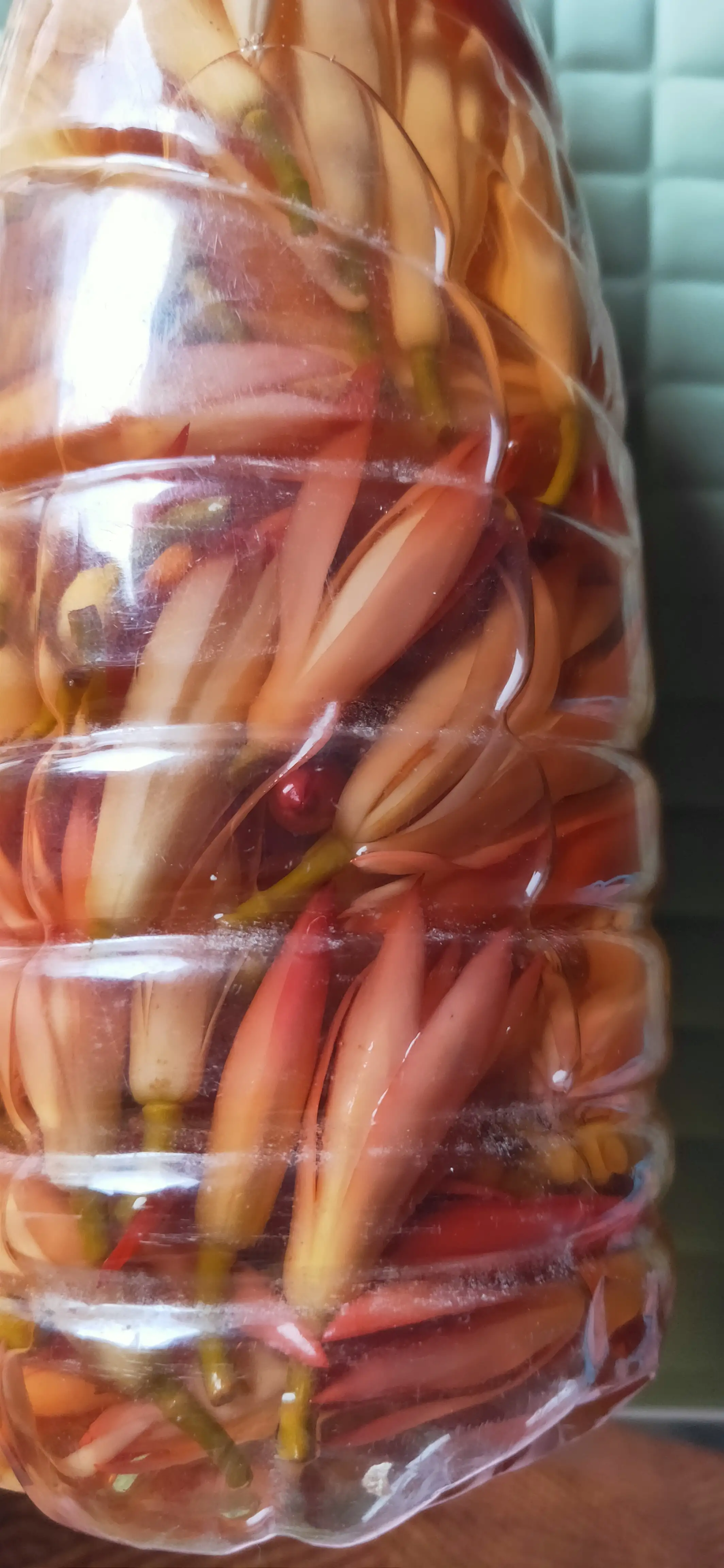 夏天蚊子太多了 总是喜欢咬宝宝皮肤 时常大包小包的 太痒了 前几天摘了很多白兰花用来泡白酒 现在花朵也开始变颜色了 再等