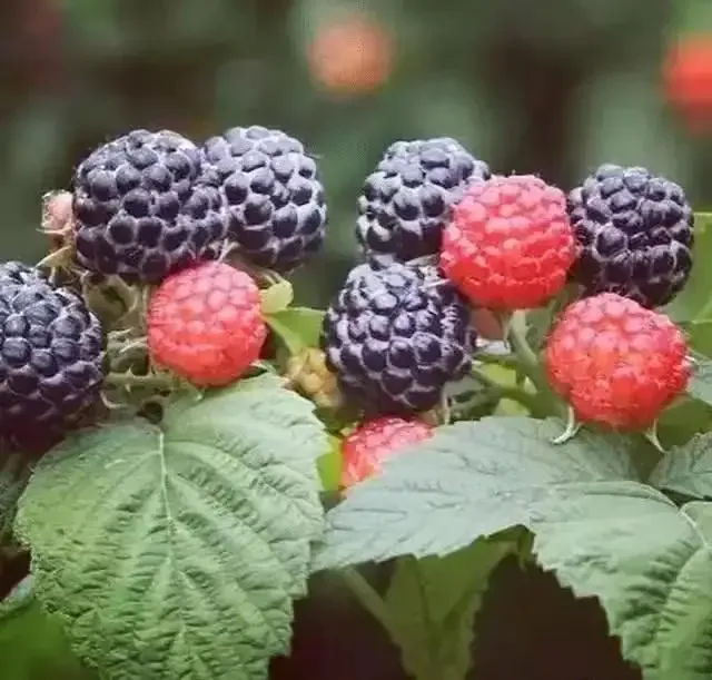 不赚钱发什么朋友圈 没钱适合发的朋友圈