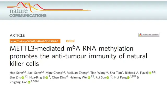 m6A甲基化在免疫系统中的新发现